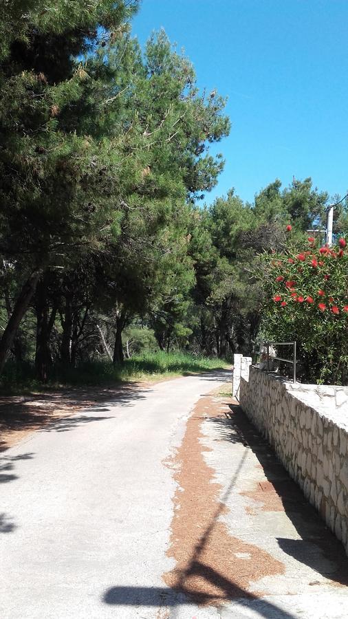 Villa Mateja Donji Okrug  Exterior foto