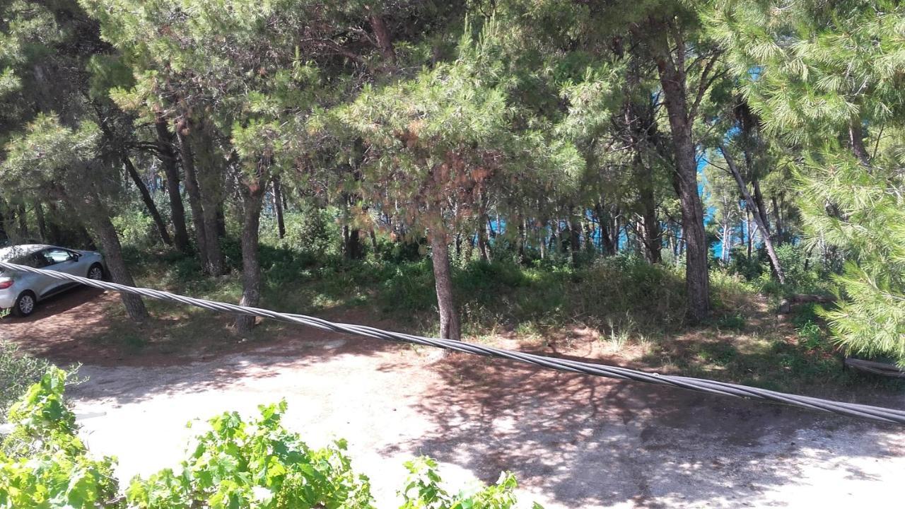 Villa Mateja Donji Okrug  Exterior foto